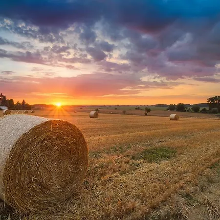 호텔 Erdmann - Garni 제바트헤링스도르프